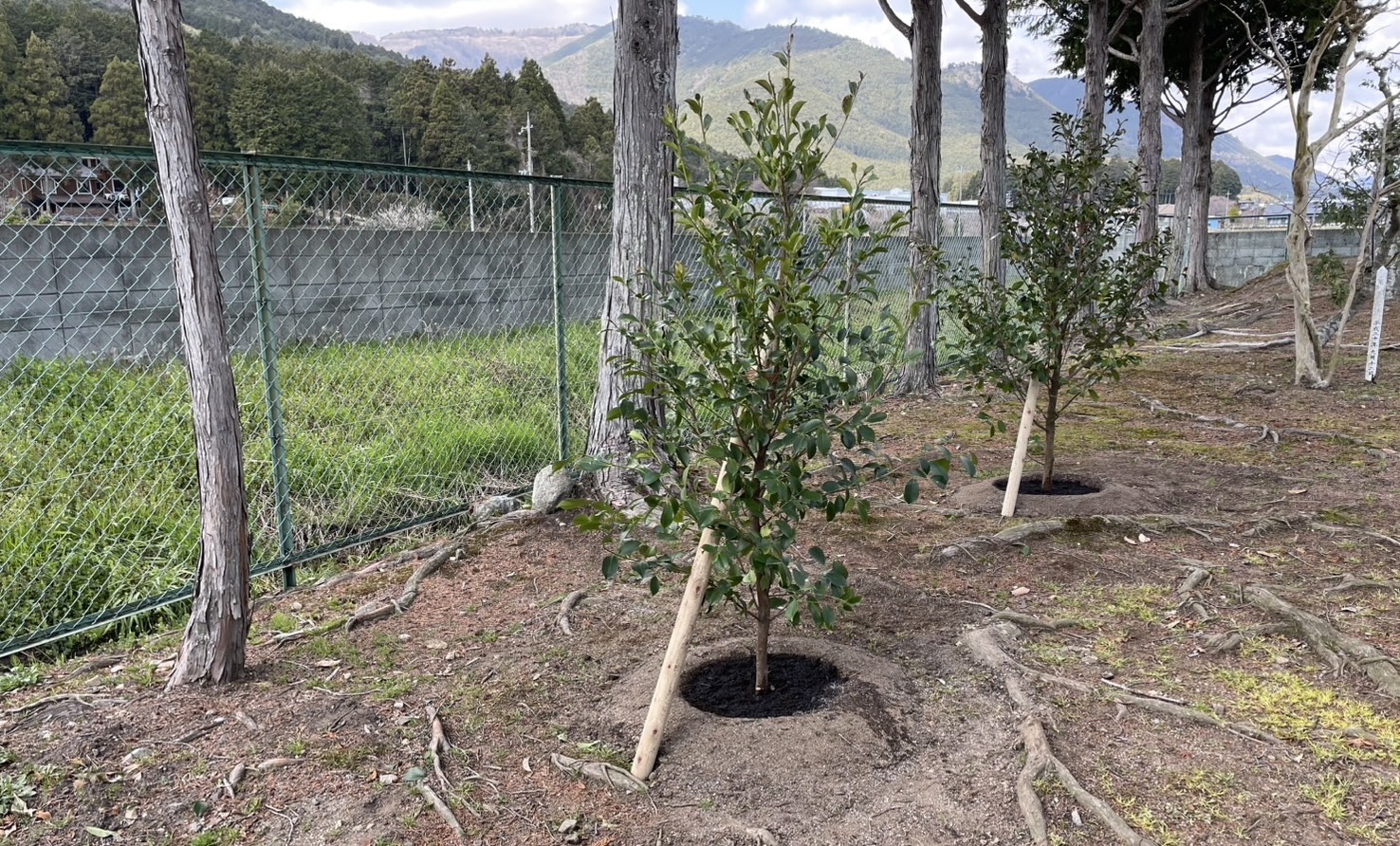 加美町　某工場　植栽