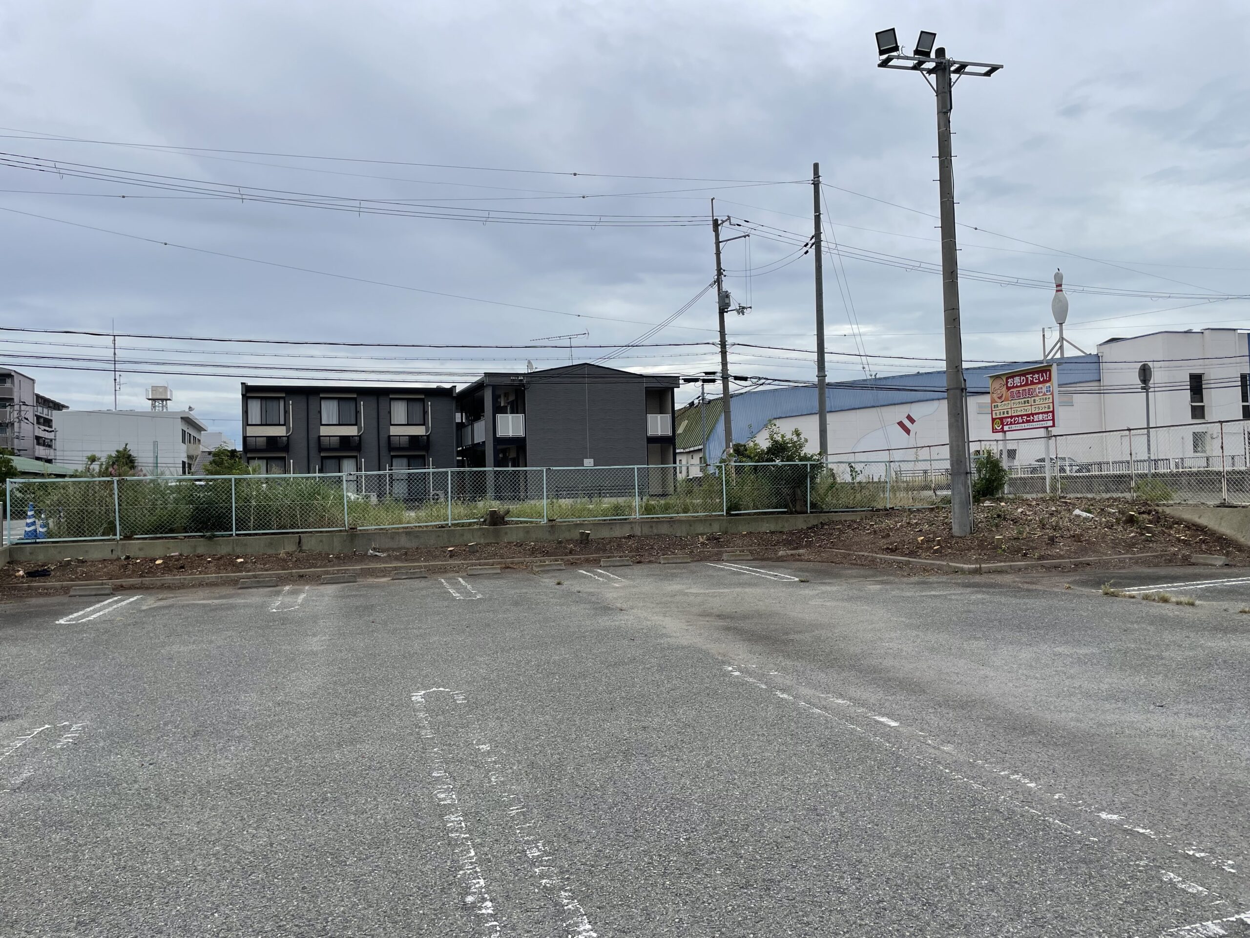 イオン社店　伐採作業