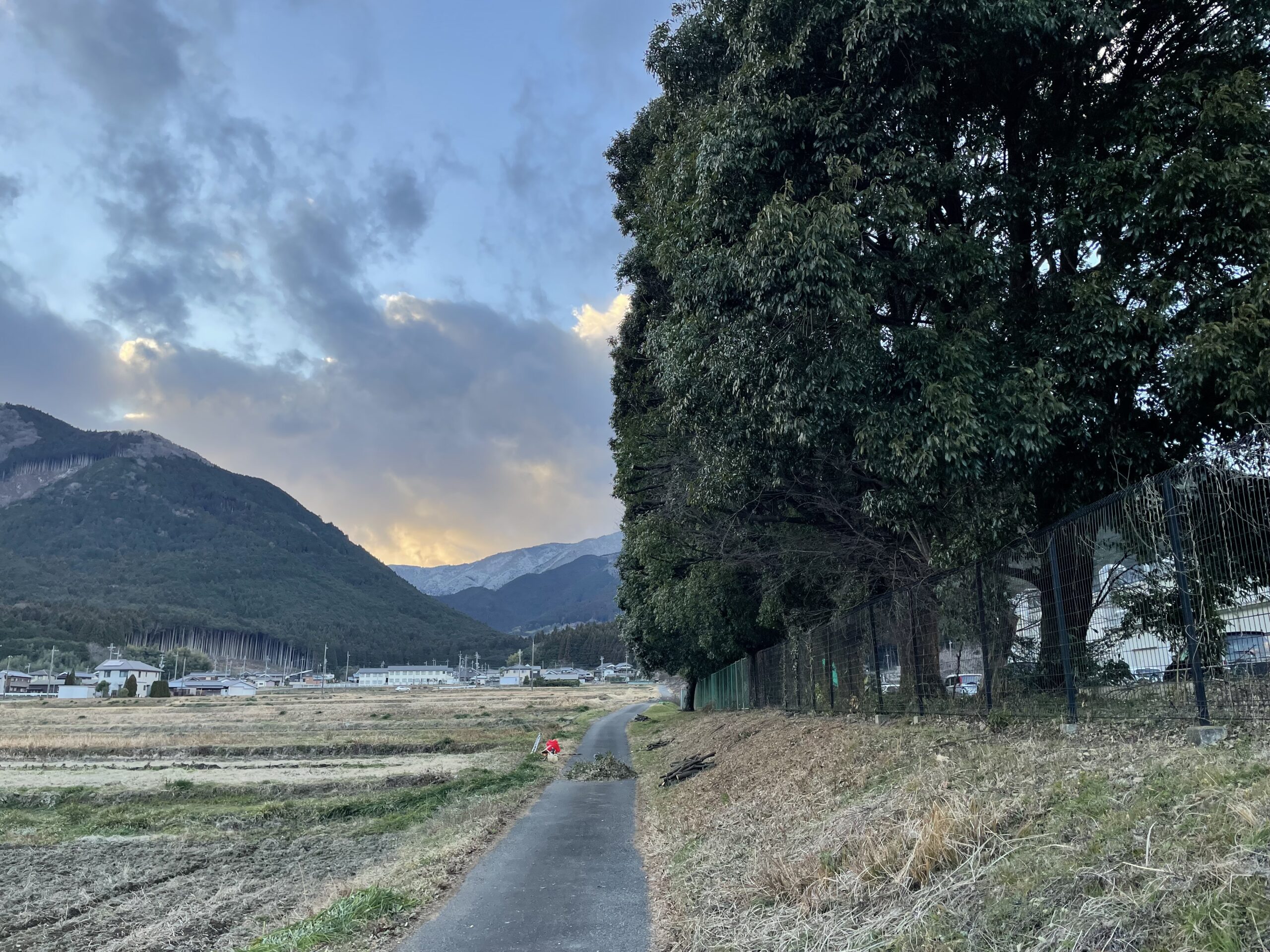 加美町　某工場　越境枝剪定