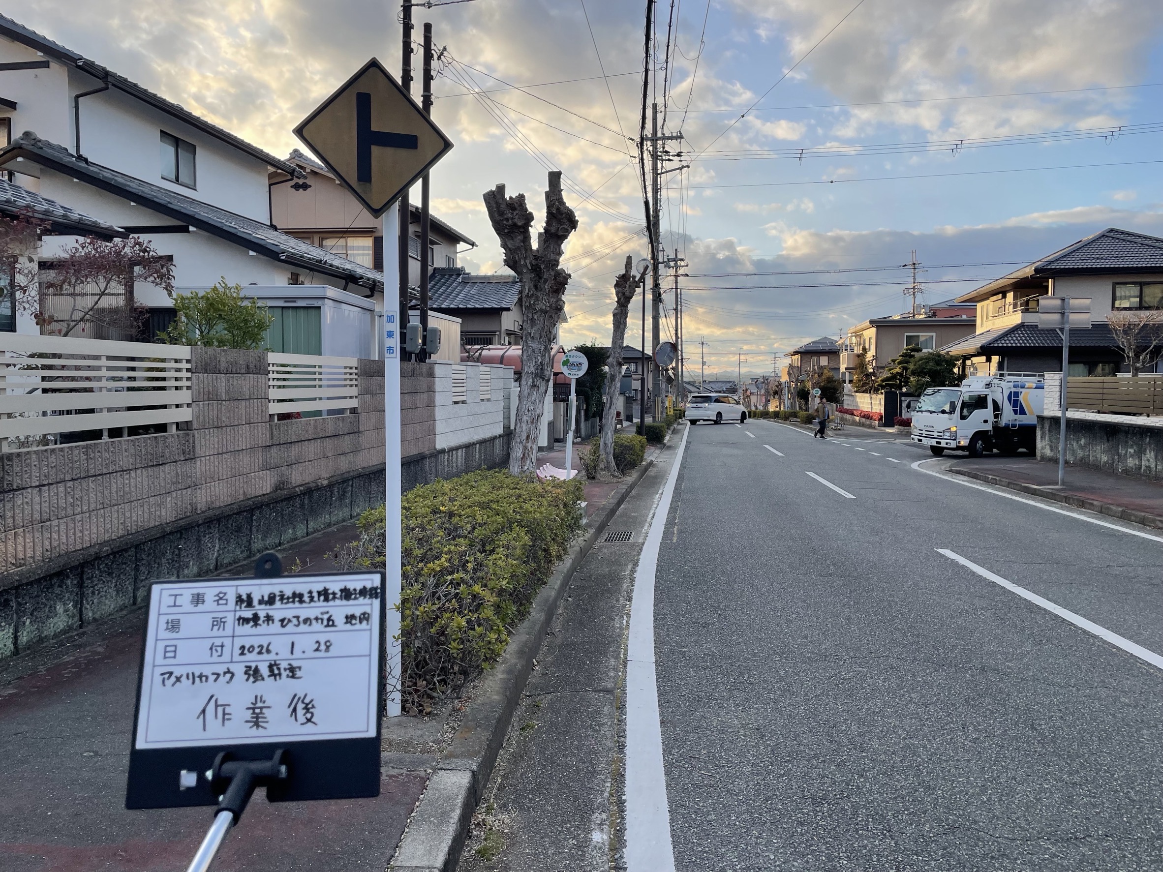 加東市　ひろのが丘　街路樹　強剪定